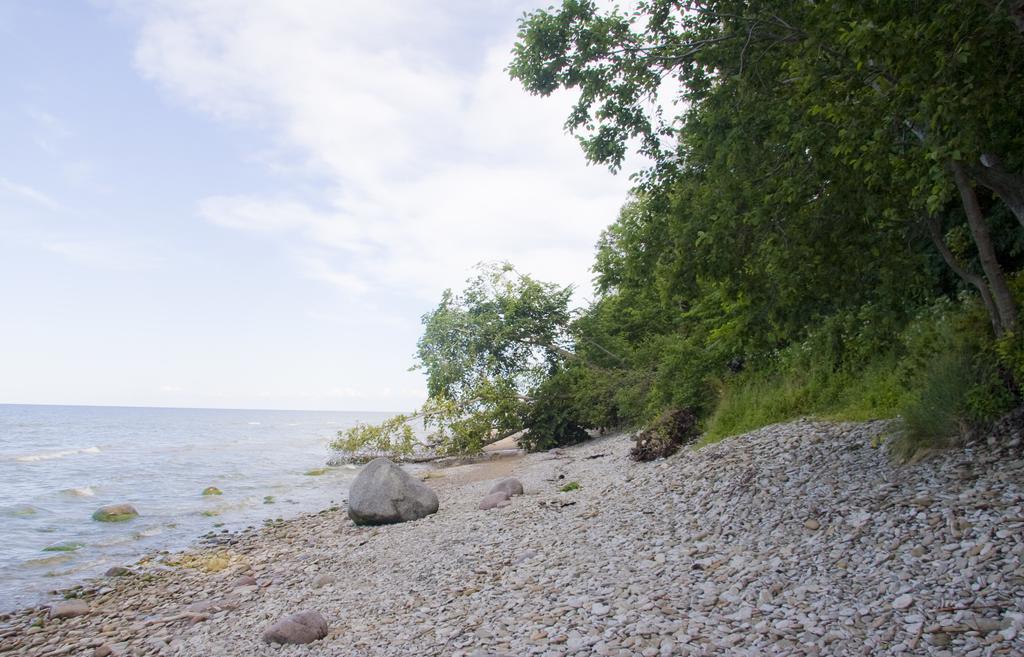 Camping Maennisalu Тойла Екстер'єр фото